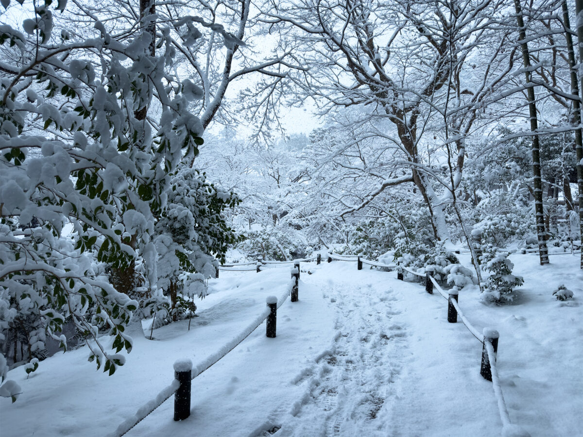 圓光寺雪260208-17