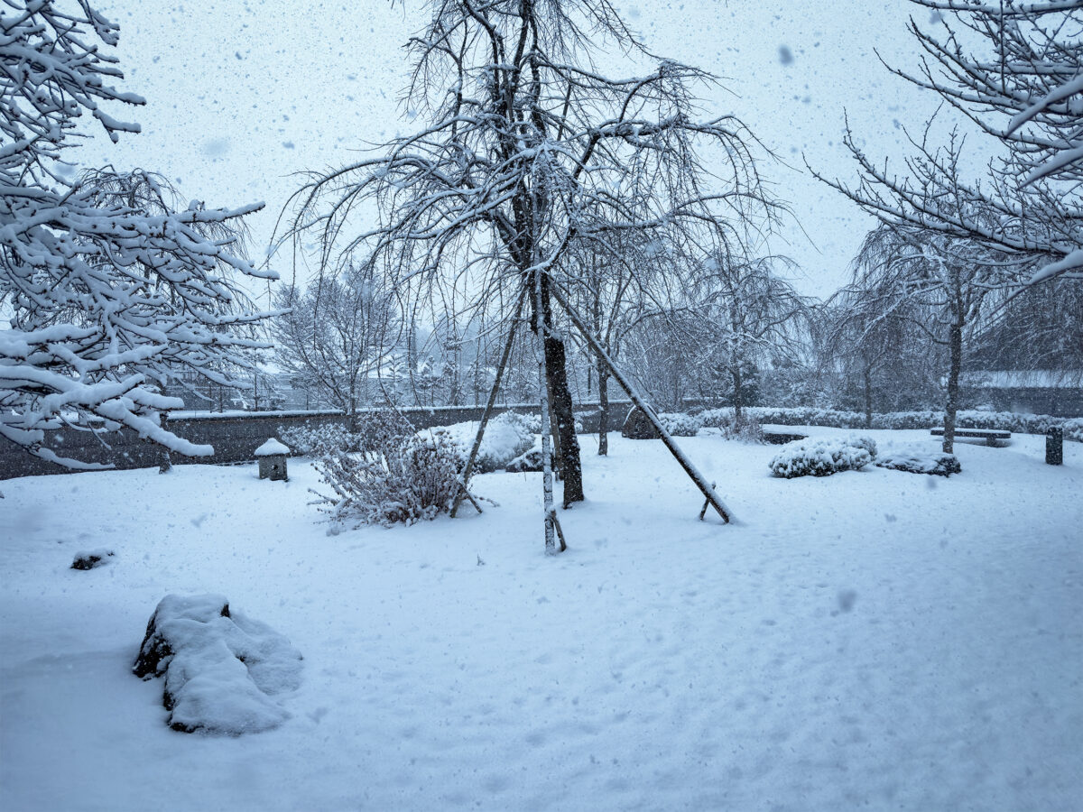 圓光寺雪260208-3