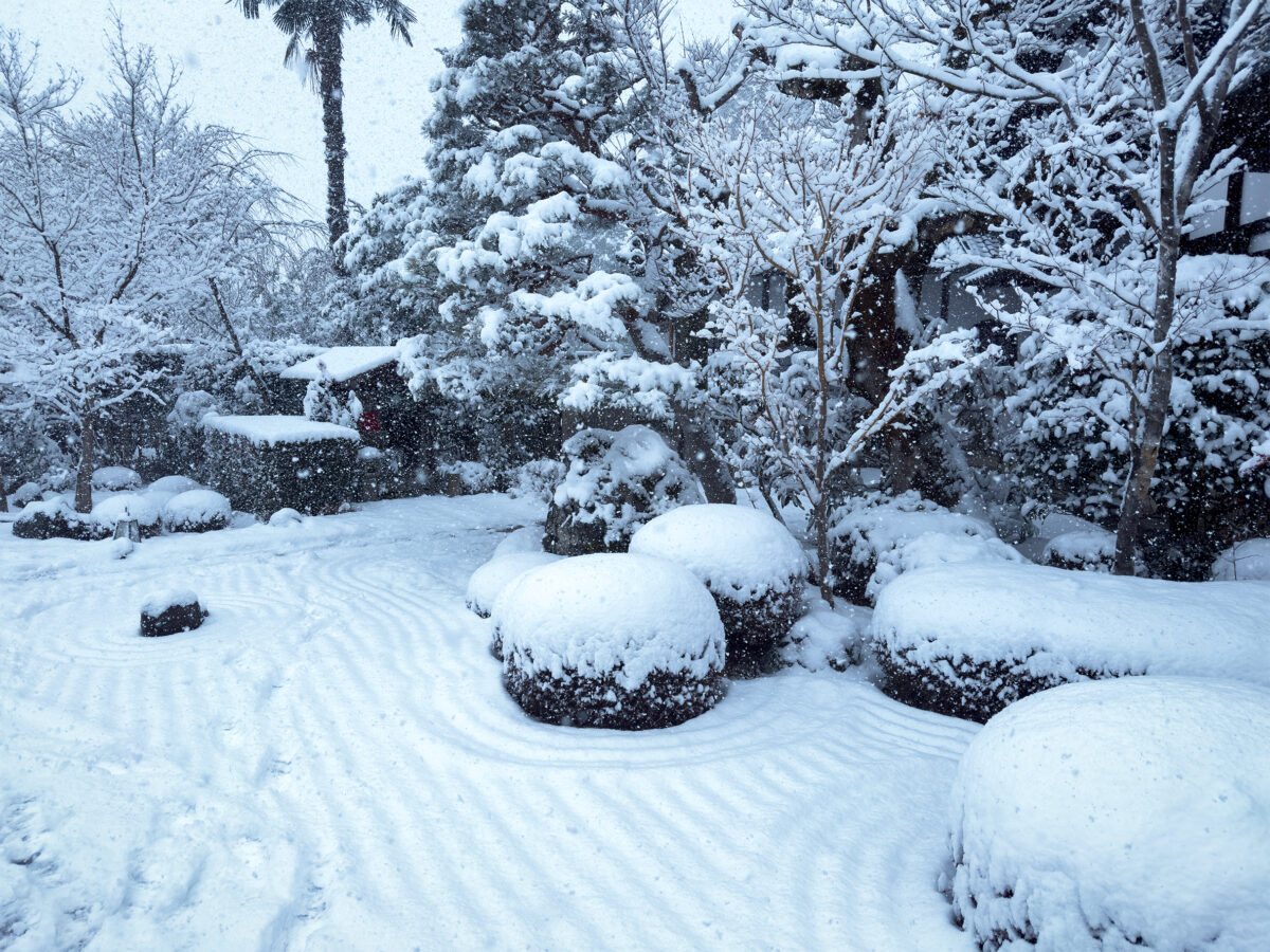 圓光寺雪260208-5