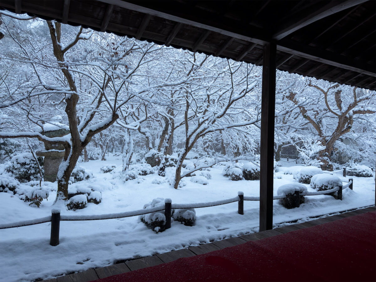 圓光寺雪260208-8