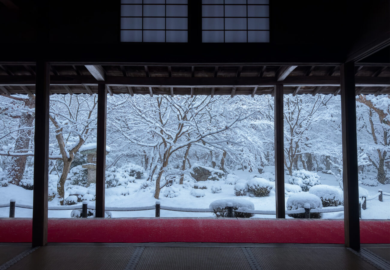 圓光寺雪260208-9