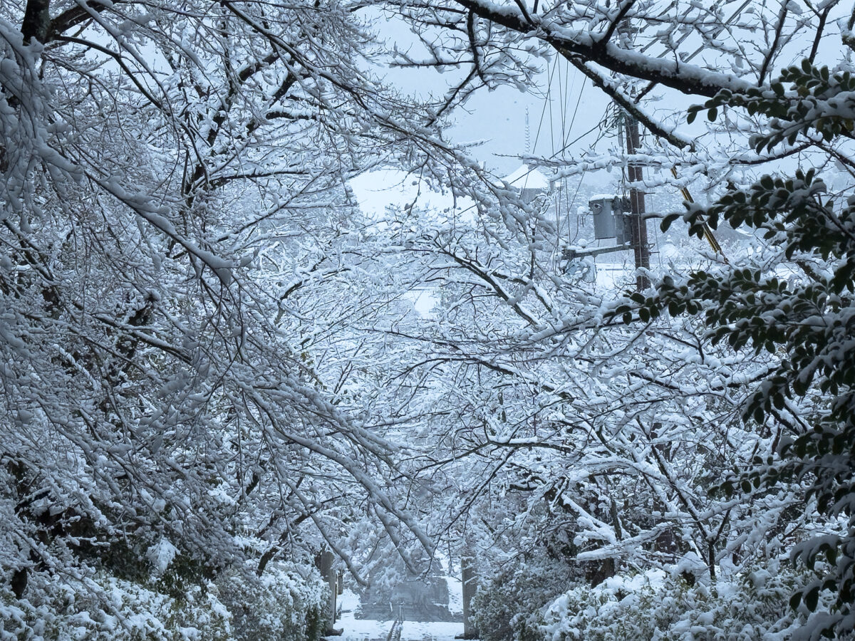 宗忠神社雪260208-2