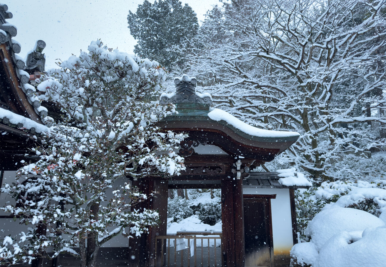 栄摂院雪260208-1