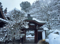 栄摂院雪260208-1