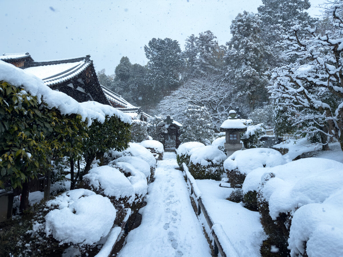 栄摂院雪260208-2