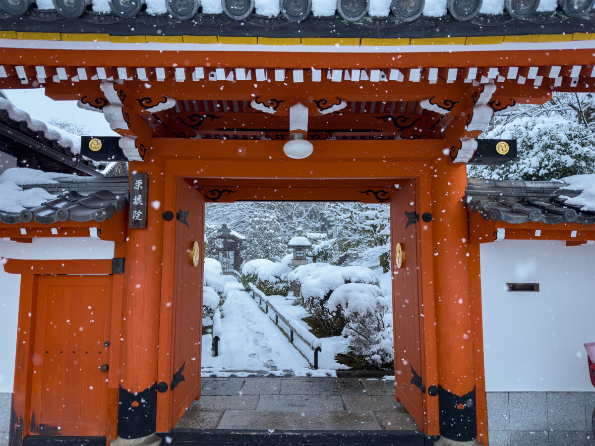 栄摂院雪260208-3