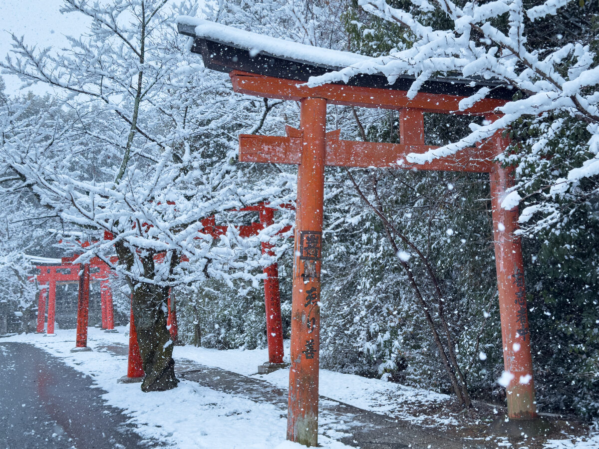 竹中稲荷雪260208-1
