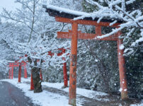 竹中稲荷雪260208-1