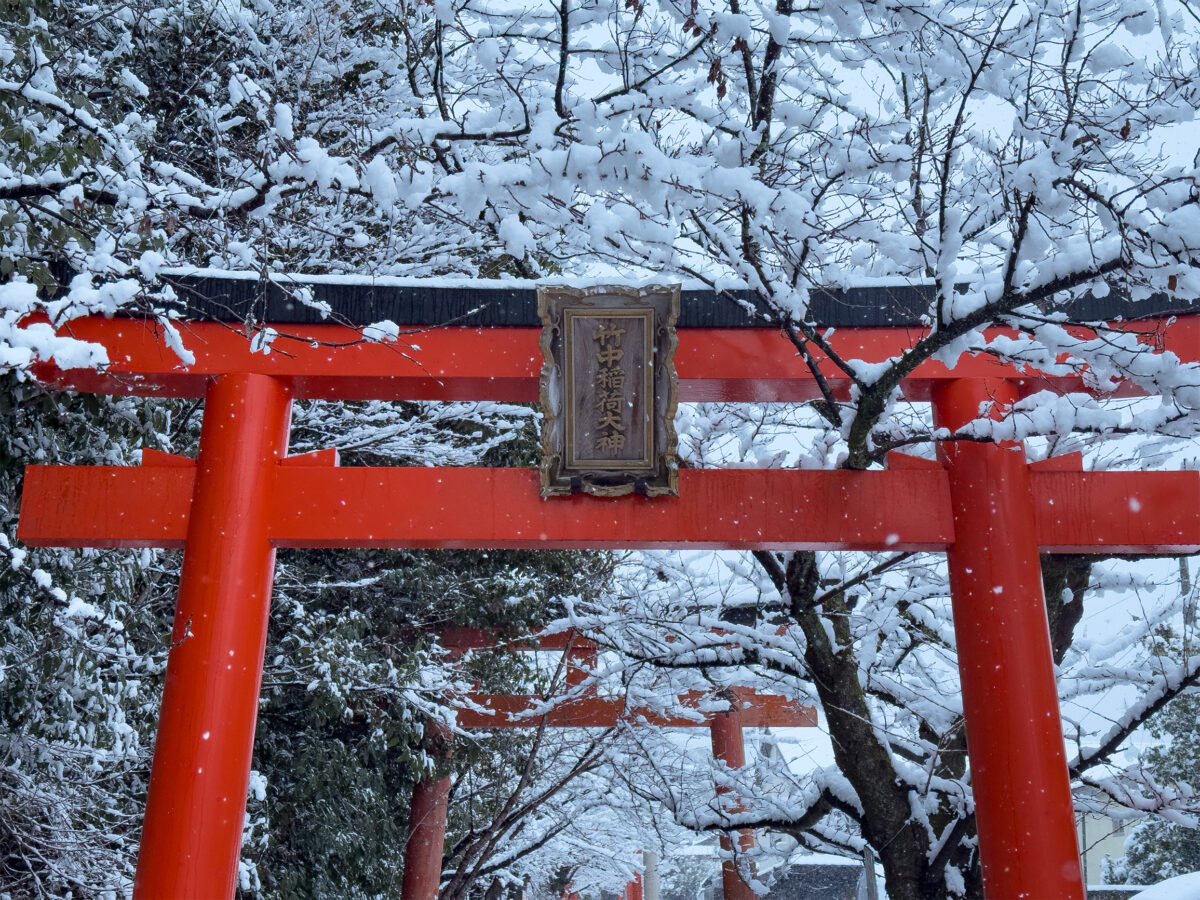 竹中稲荷雪260208-3