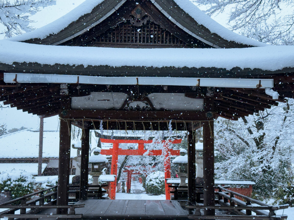 竹中稲荷雪260208-4