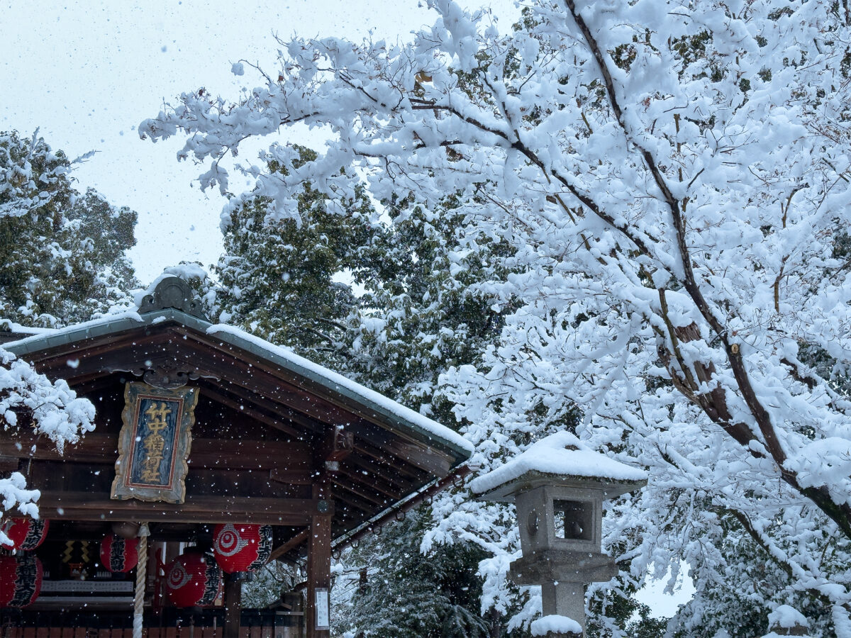 竹中稲荷雪260208-5