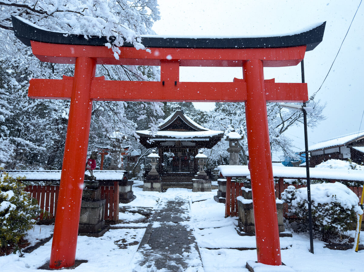 竹中稲荷雪260208-6