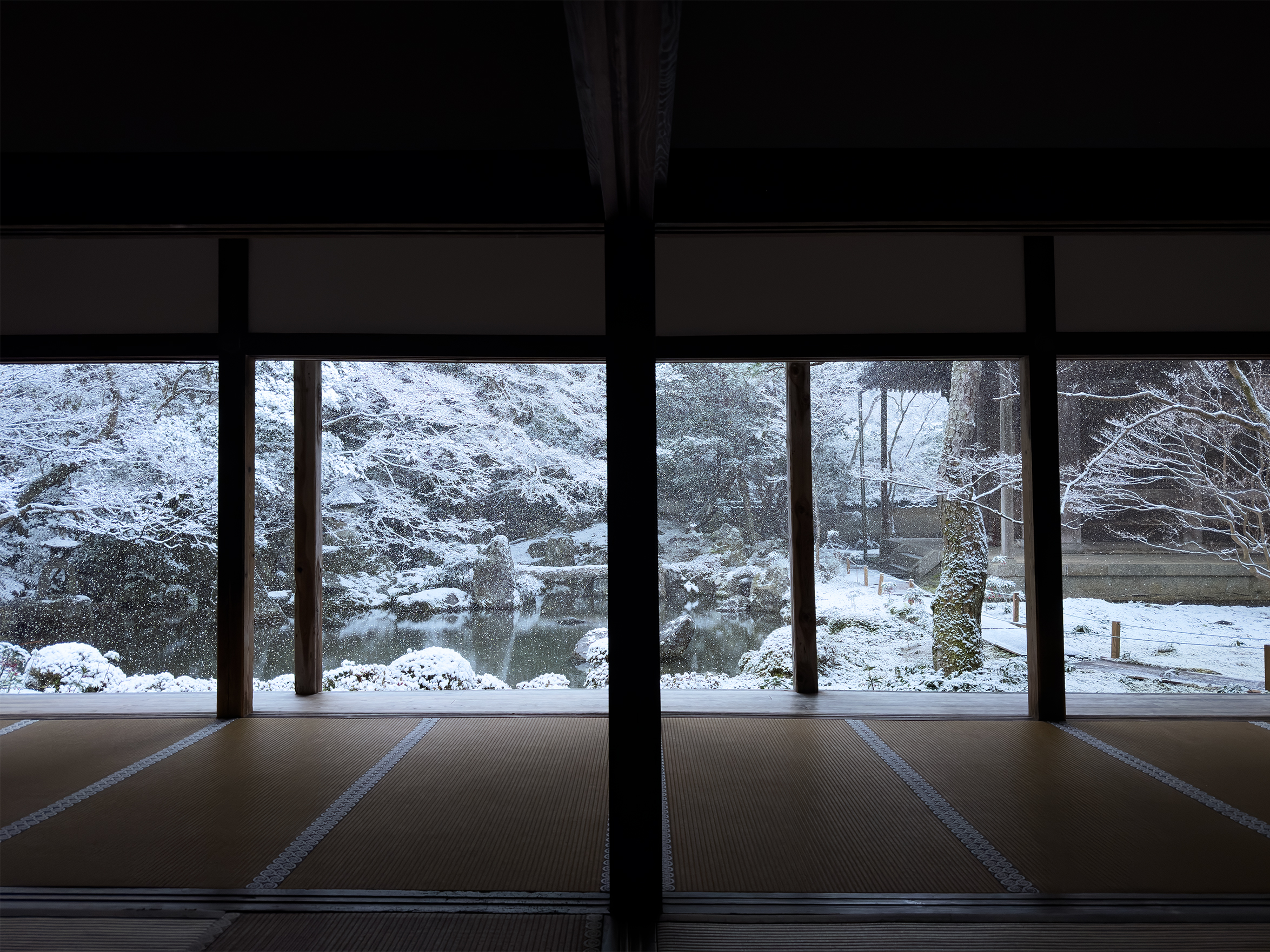 蓮花寺雪260208-13