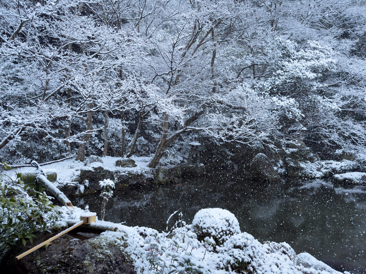 蓮花寺雪260208-14