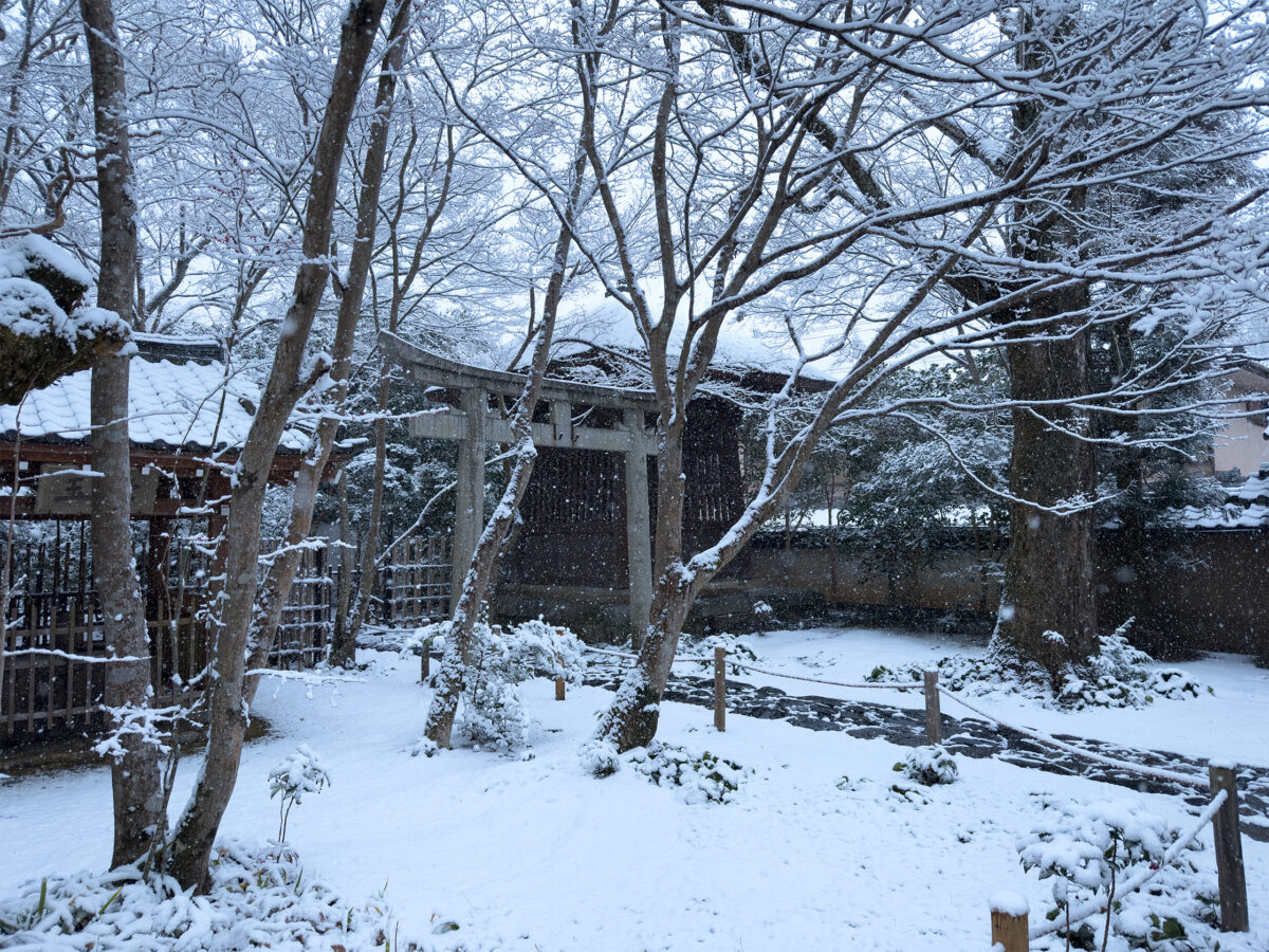蓮花寺雪260208-2