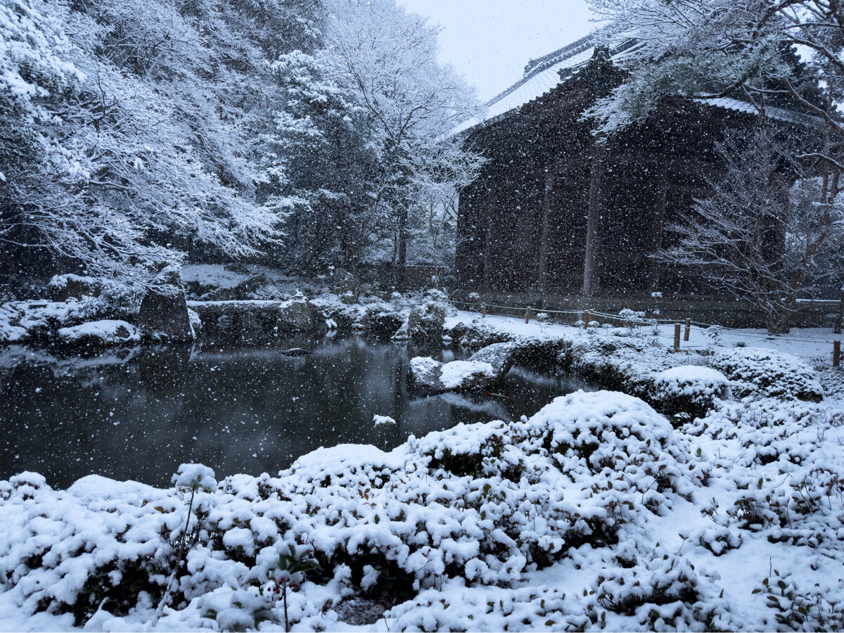蓮花寺雪260208-4