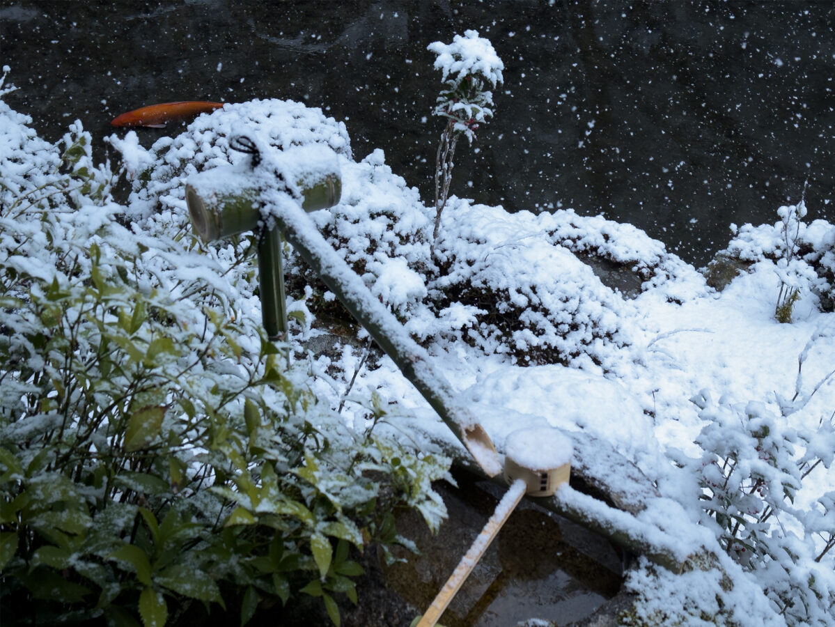 蓮花寺雪260208-9