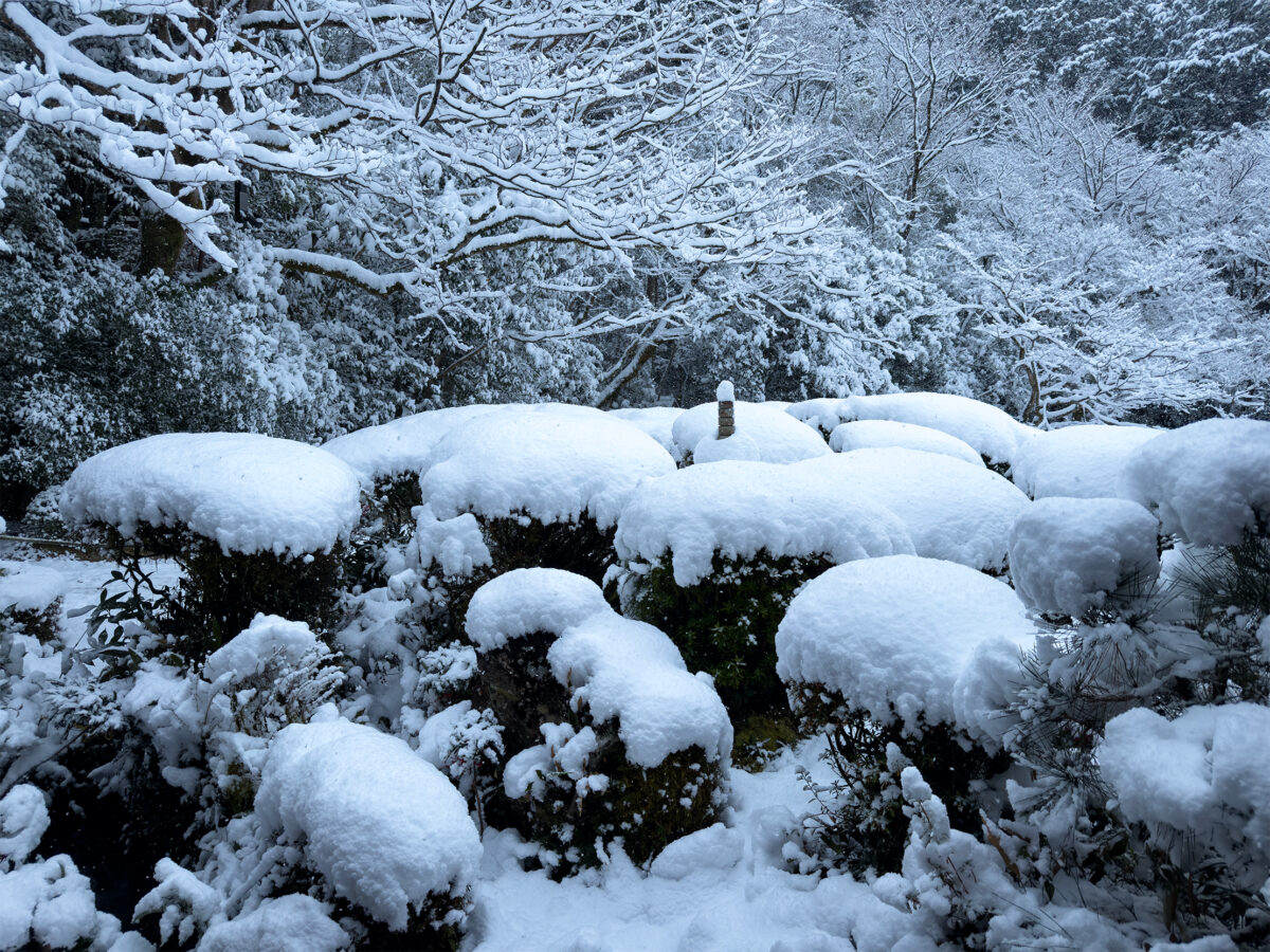 詩仙堂雪260208-12