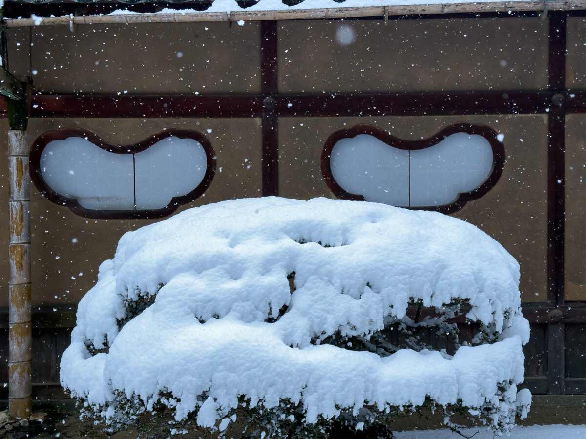 詩仙堂雪260208-3