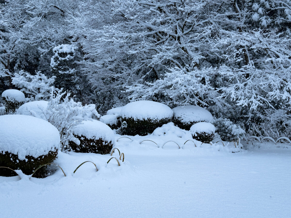 詩仙堂雪260208-4