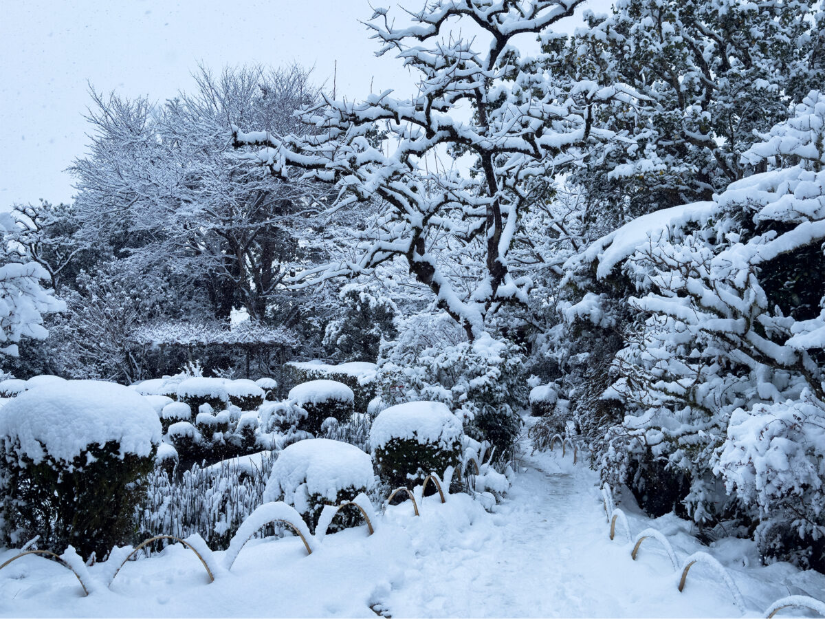 詩仙堂雪260208-6