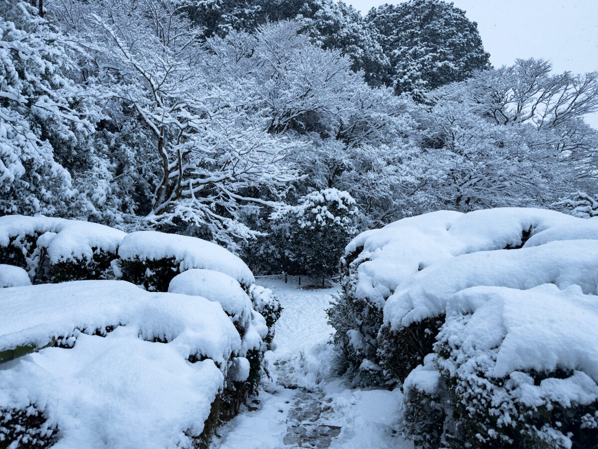 詩仙堂雪260208-7
