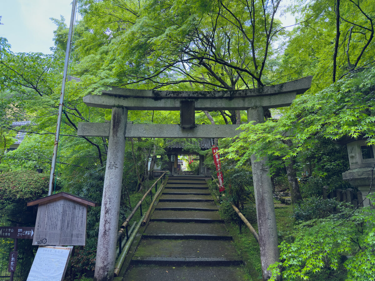 山科聖天青紅葉260502-1