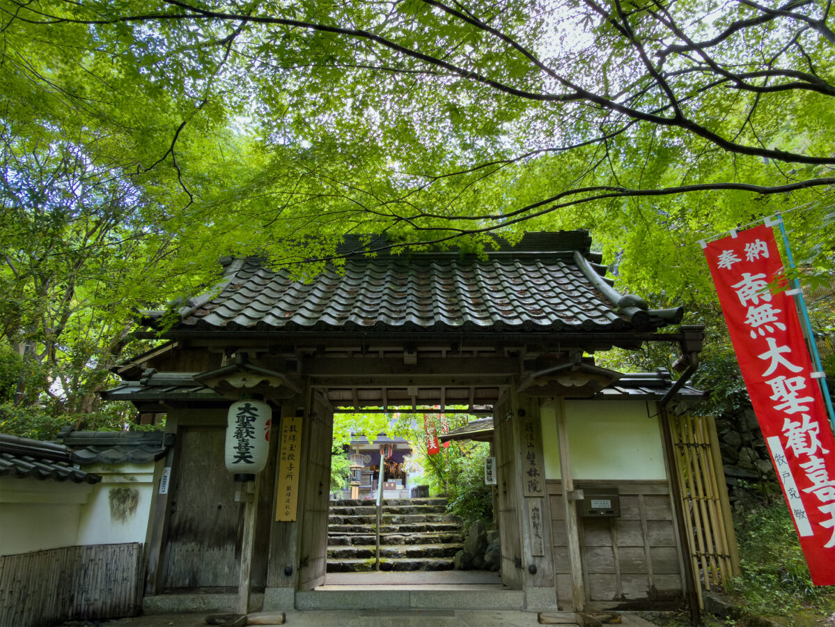 山科聖天青紅葉260502-3