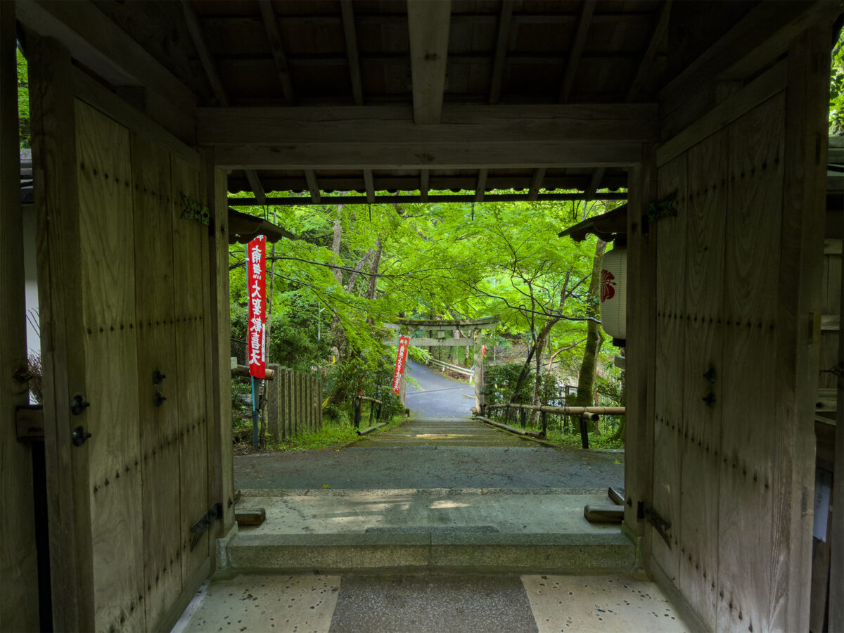 山科聖天青紅葉260502-6