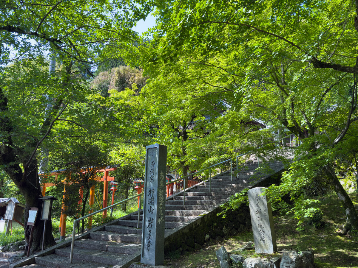 岩屋寺青紅葉260502-2