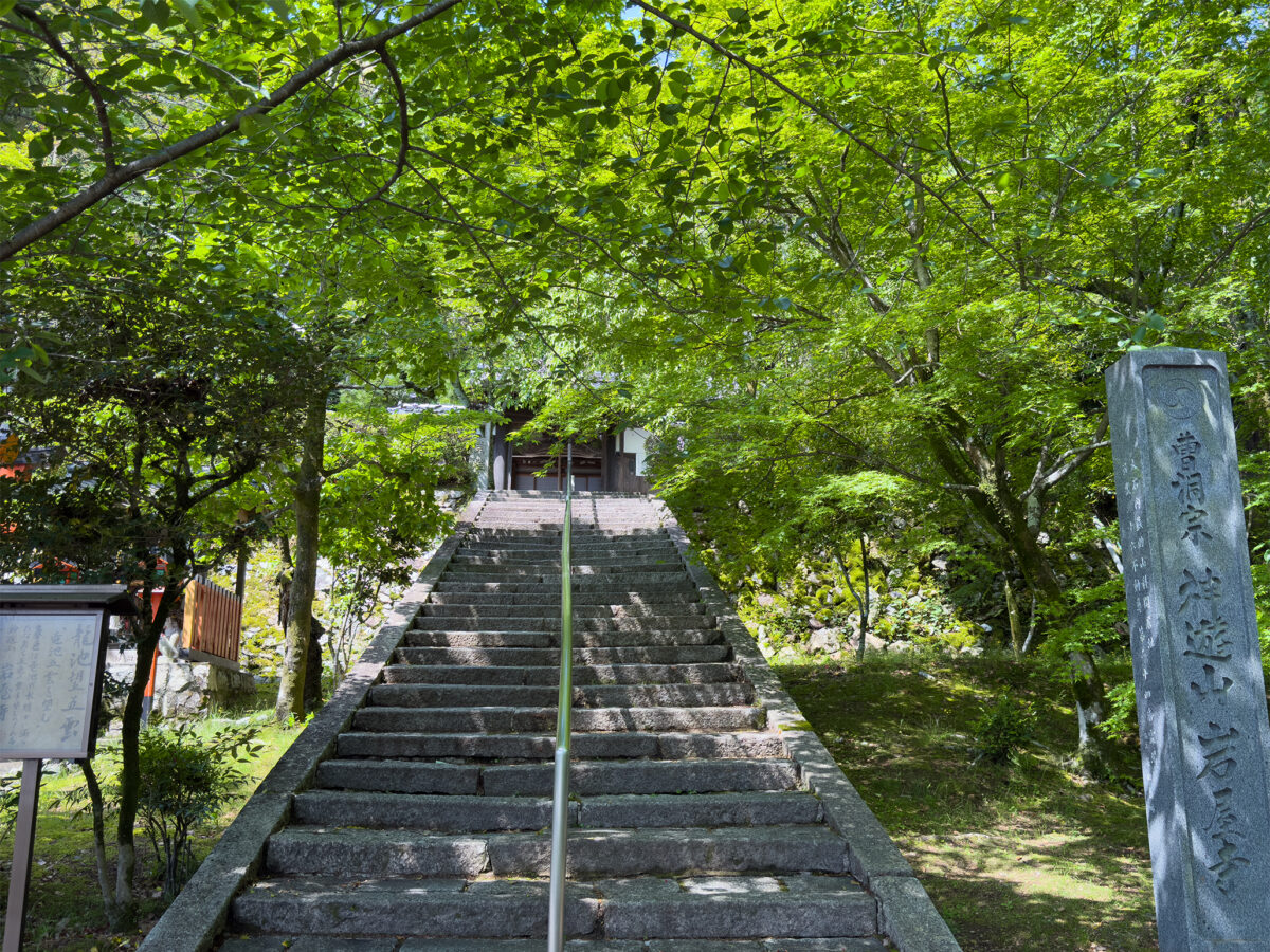 岩屋寺青紅葉260502-3