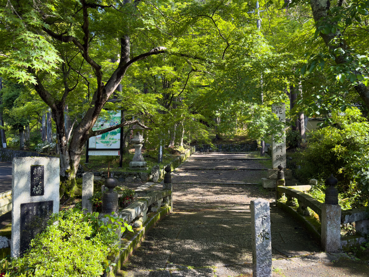 毘沙門堂青紅葉260502-3