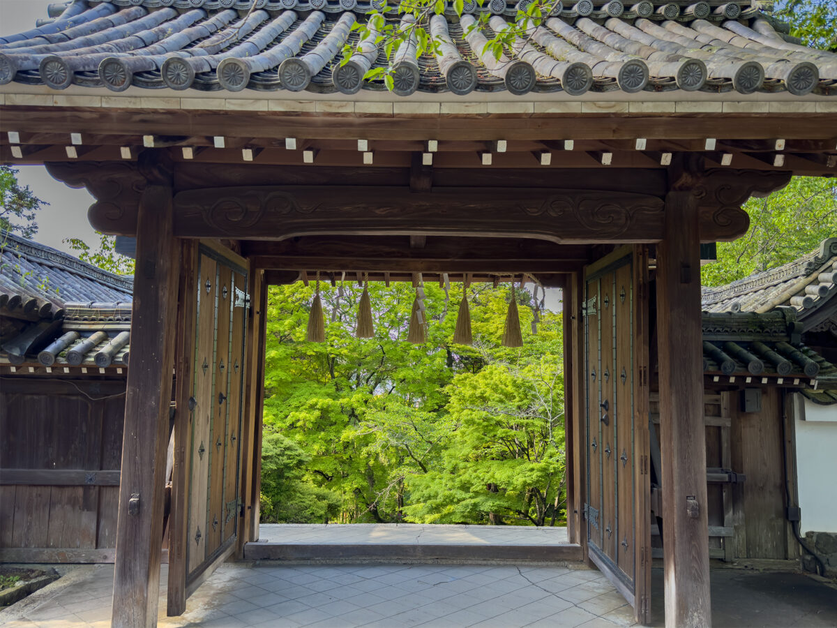 毘沙門堂青紅葉260502-5