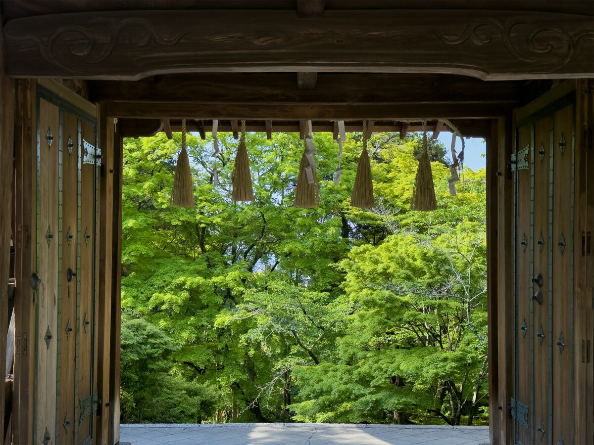 毘沙門堂青紅葉260502-6