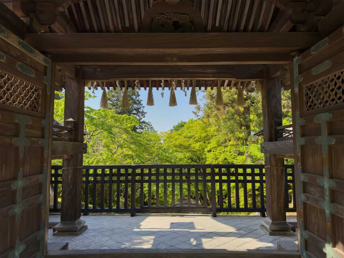 毘沙門堂青紅葉260502-7