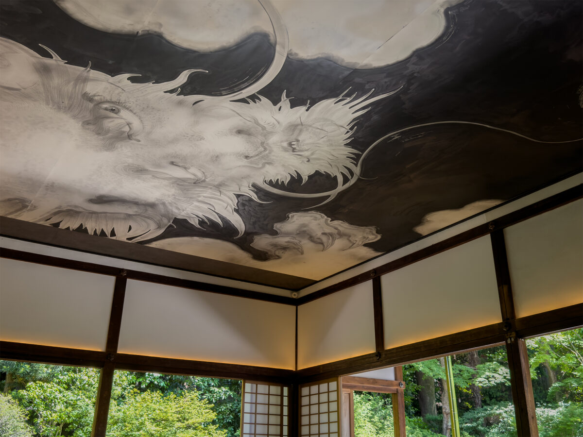 西来院青もみじ260519-6